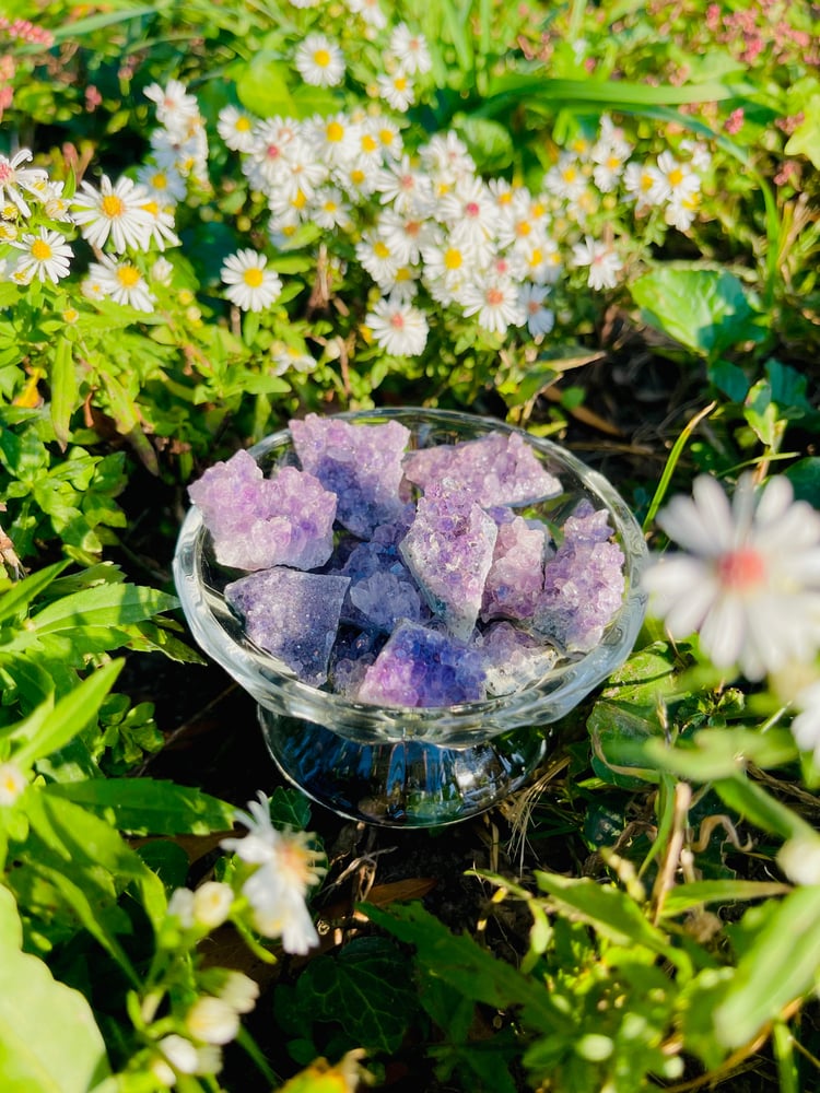 Image of Amethyst Cluster