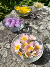 Image 1 of CONSULTA TERAPIA FLORAL & FLORES DE BACH 
