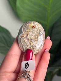 Image 4 of CHOOSE YOUR OWN MEXICAN LACE AGATE PALMSTONES 