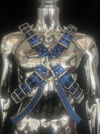 Image 6 of Electric Blue ‘X’ Harness 