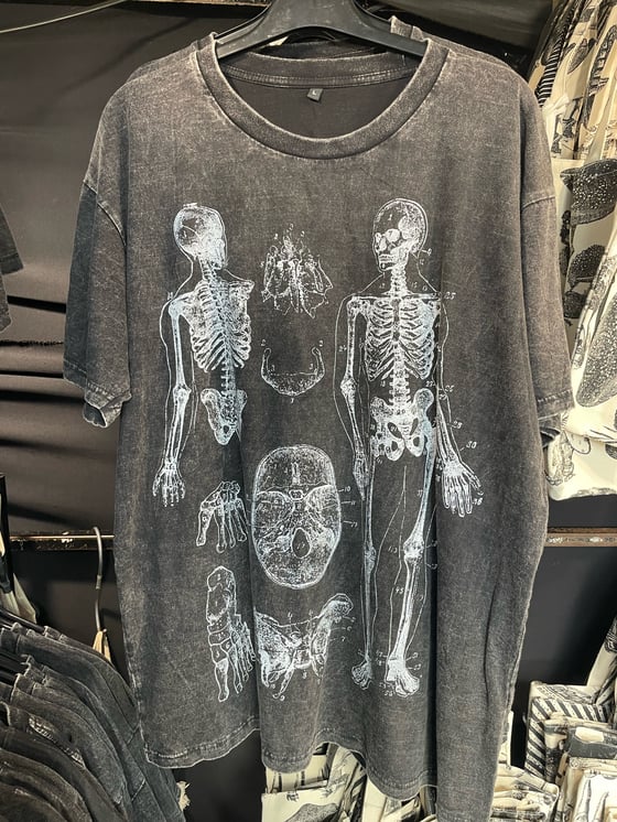 Image of Anatomy Tee