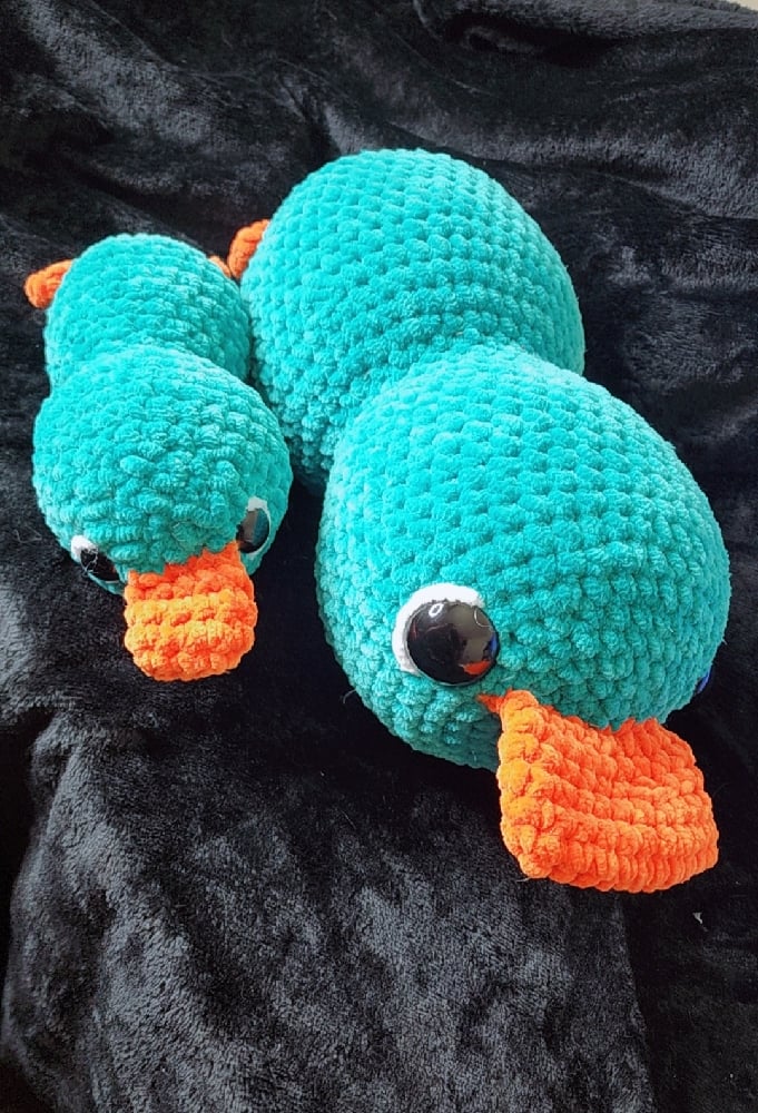 Image of Platypus 