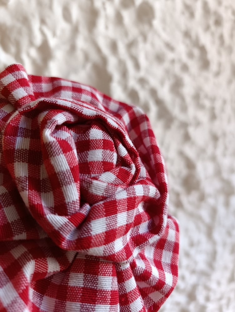 Image of Fermaglio rosa pic-nic fantasia Vichy rosso/bianco