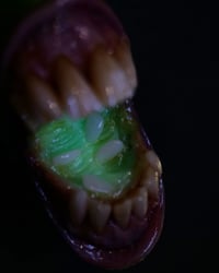 Image 4 of Mutant Pickle Pendant, big mouth, four eyes