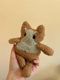 Image 2 of Cat Customs