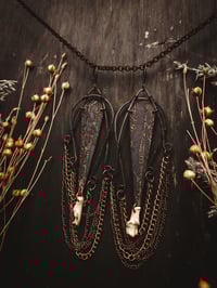 Image 1 of Birch Forest