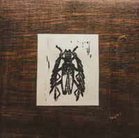 Image 1 of Callichromatini