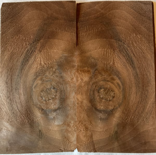 Image of Walnut Burr 12 Sheets