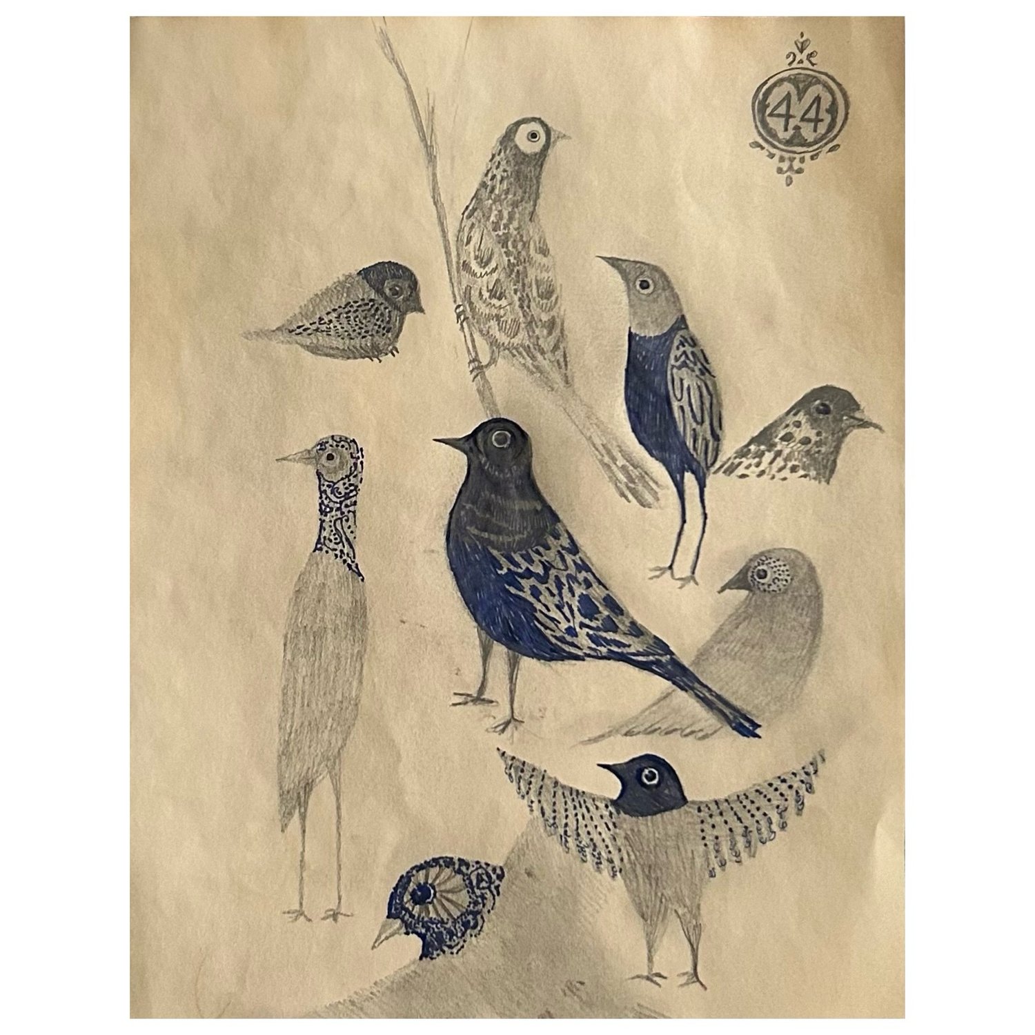 Image of birds. ( 4.4)