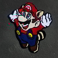 Image 2 of Raccoon M