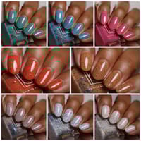 Image 3 of At Sea: Let's Shell-ebrate!