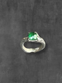Image 2 of envy ring