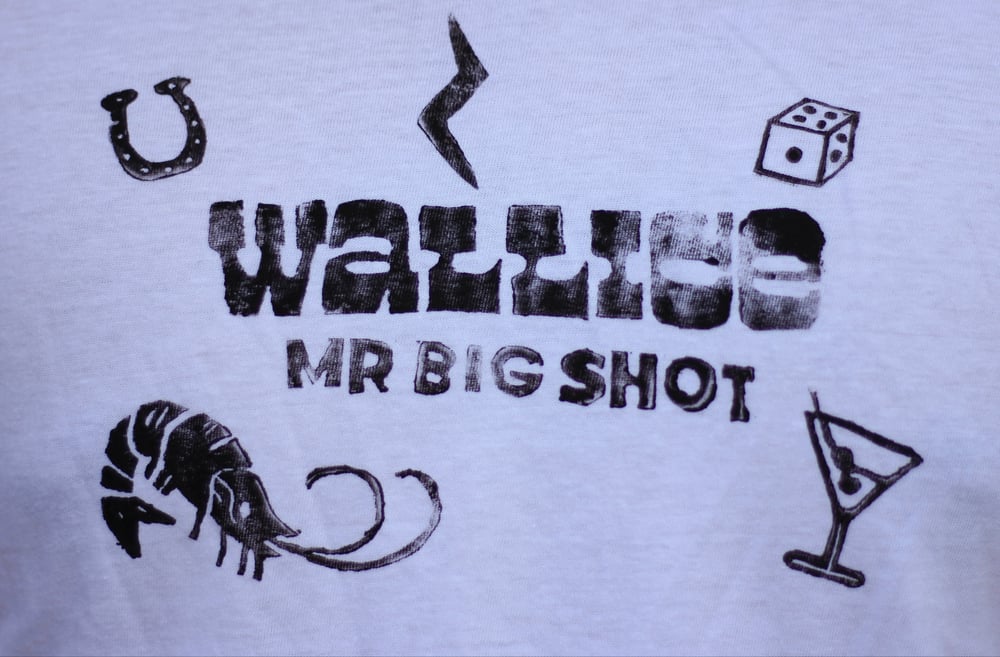Mr big Shot 