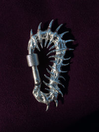 Image 1 of Centipede Fossil #2