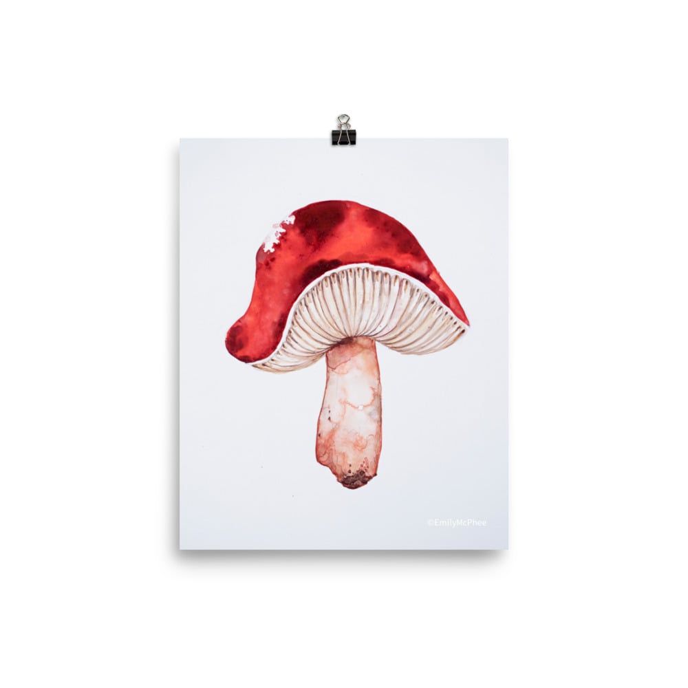 Image of Red Mushroom - Fine Art Print