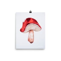 Red Mushroom - Fine Art Print