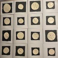 Image 2 of Tree Ring Cards