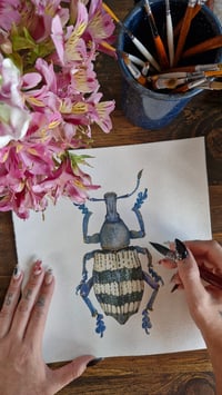 Image 5 of Weevil ORIGINAL ARTWORK