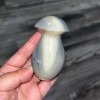 Image 1 of Orca Agate Mushroom E
