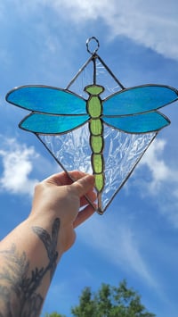 Image of Dragonfly