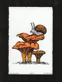 Image 3 of Snail & Chanterelles