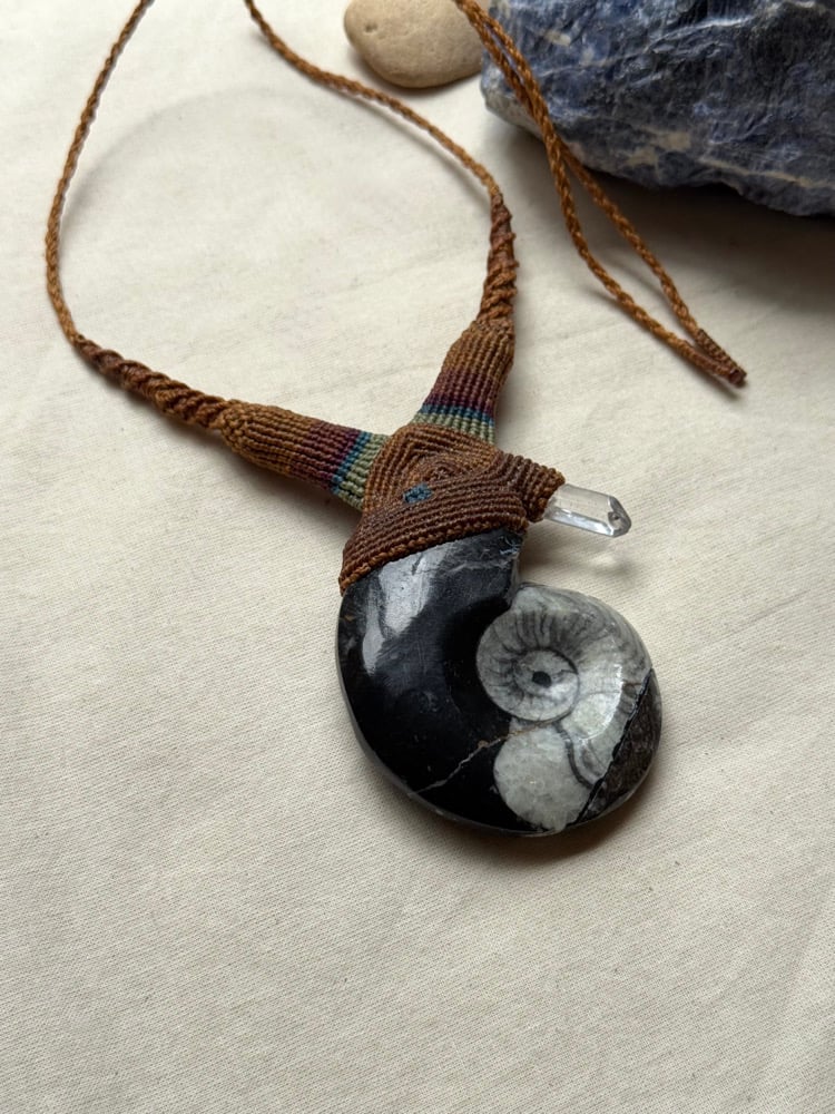 Image of Macrame necklace with goniatite (ammonide) fossil and clear quartz point