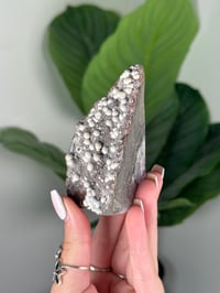 Image 2 of URUGUAYAN AMETHYST CUTBASE WITH BOTRYOIDAL CALCITE I