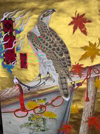 Image 2 of Golden Falcon