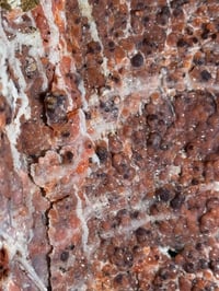 Image 10 of XL PINK CHALCEDONY GEODE -MOROCCO- A