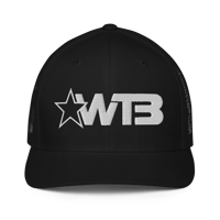 Image 1 of WTB Flexfit Hat