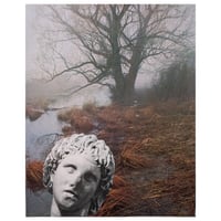 DEVIATED BOG