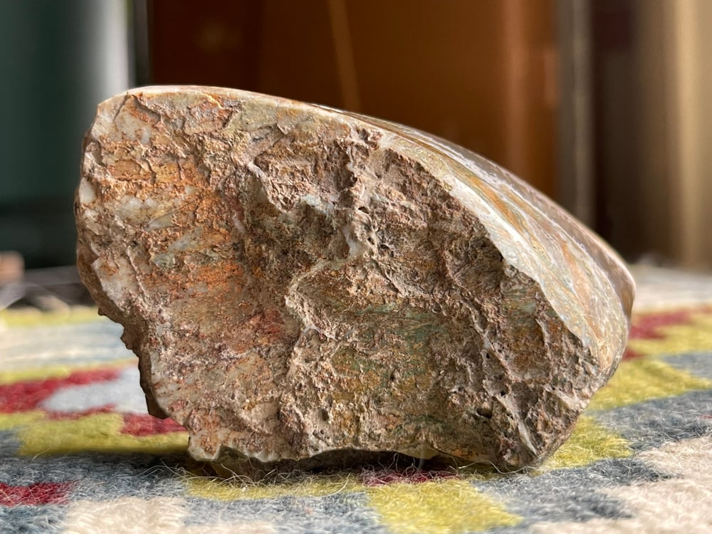 The Reptile Stone Montana Seam Agate