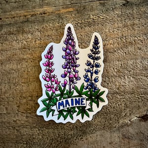Vinyl Stickers