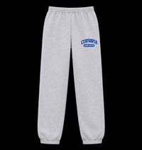 Image 1 of MENS RECTA JOGGING *GREY*