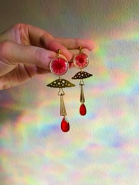 Image 1 of 🍄Shrooms🍄