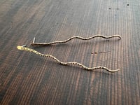 Image 5 of Baja Serpientes Collection