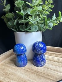 Lapis Lazuli Mushies 