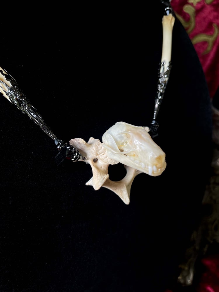 Image of Bat Skull Pendant - Bone Necklace 