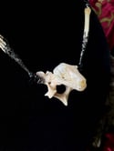 Bat Skull Pendant - Bone Necklace 