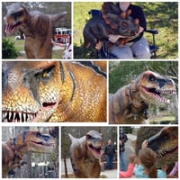 Image 5 of Hands on interactive dinosaur encounter, horse rides, hold a baby kangaroo, MORE!