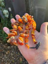 Image 2 of Natural Baltic Amber pebble necklaxe