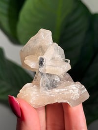 Image 5 of BOWTIE STILBITE X DIAMOND APOPHYLITE -INDIA- K