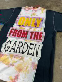 Image 4 of 213. RACE TO THE GARDEN 