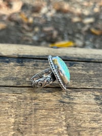 Image 2 of The Turquoise Mountain