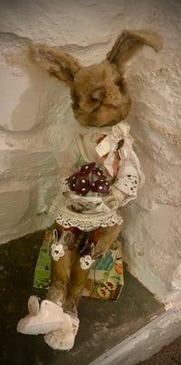 Image 1 of The Mushroom Picker