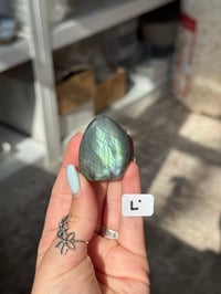 Image 12 of CHOOSE YOUR OWN MINI LABRADORITE FREEFORM -MADAGASCAR-