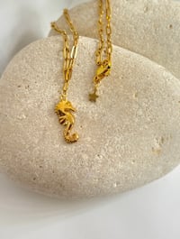 Image 5 of Collares de animales