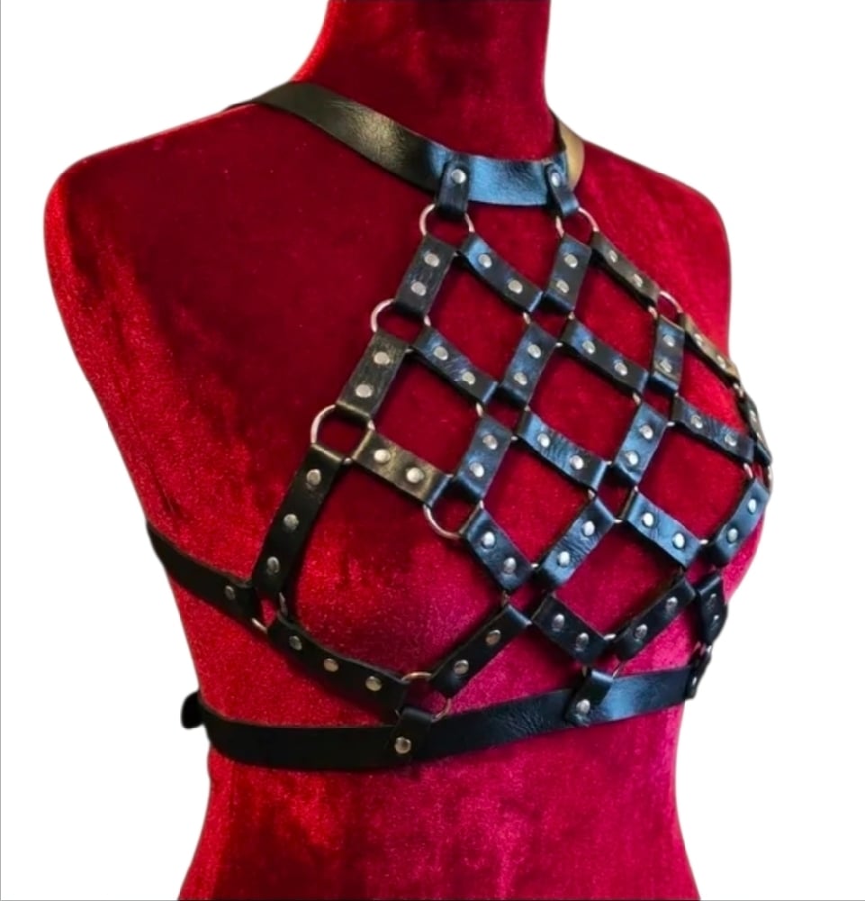 Image of Ritual Binding Harness