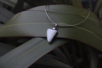 Image 3 of Unicorn Tooth