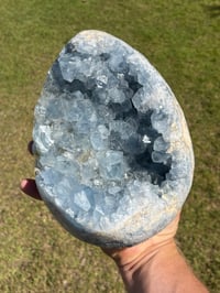 Image 13 of Celestite Cluster #1059
